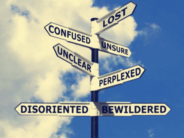 bf8dd6d223.jpg 2.jpg